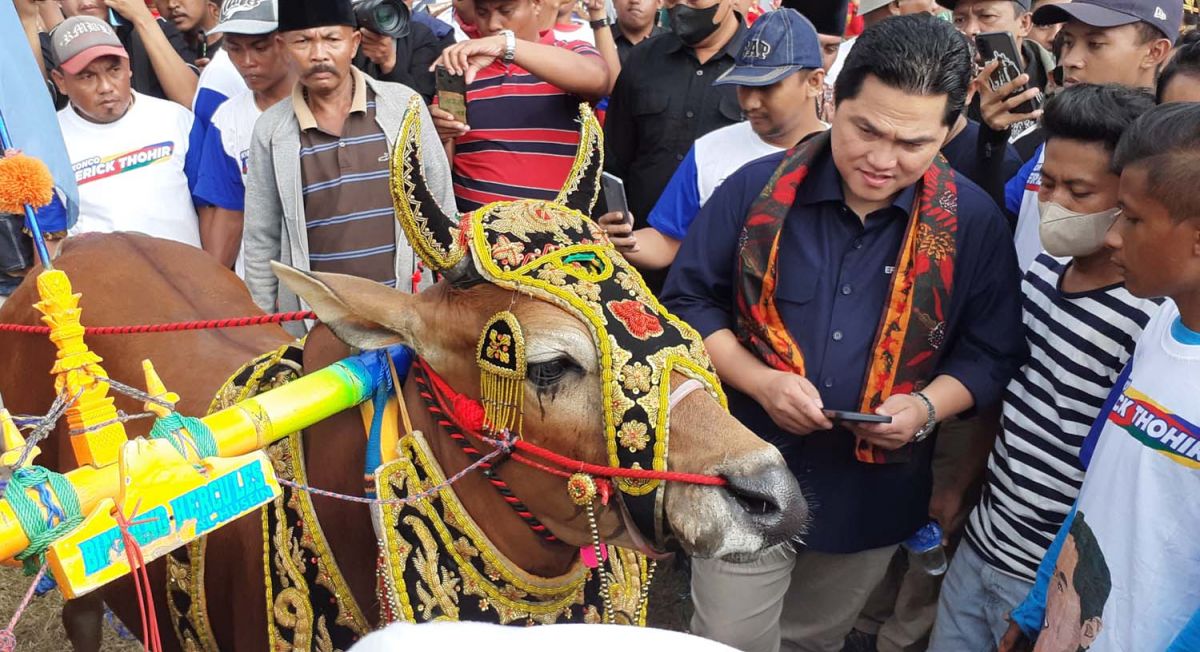 Menteri BUMN Erick Thohir saat melihat sapi kerab di lapangan Desa Sanggra Agung, Kecamatam Socah, Kabupaten Bangkalan (Foto: Syaiful Islam/jatimnow.com)