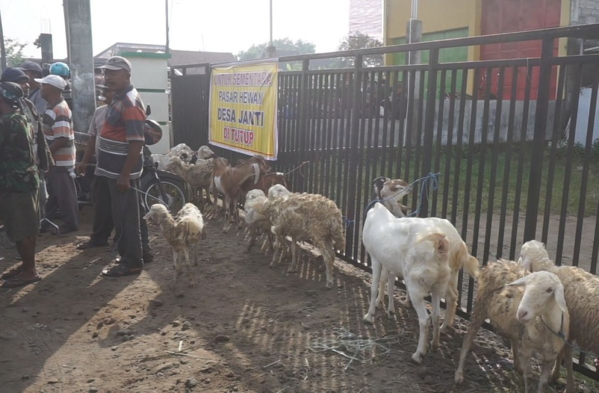 Pedagang kambing berjualan di tepi jalan pasar hewan yang tutup. (Foto: Elok Aprianto/jatimnow.com)
