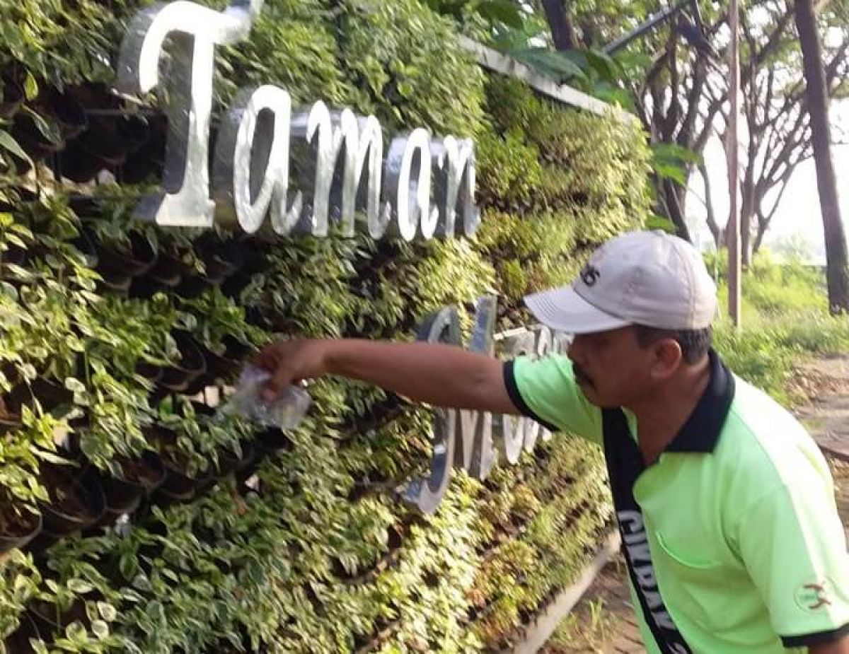 Petugas DLH tengah memperbaiki vertical garden di Taman Manula. (Foto: DLH Kota Probolinggo/jatimnow.com)
