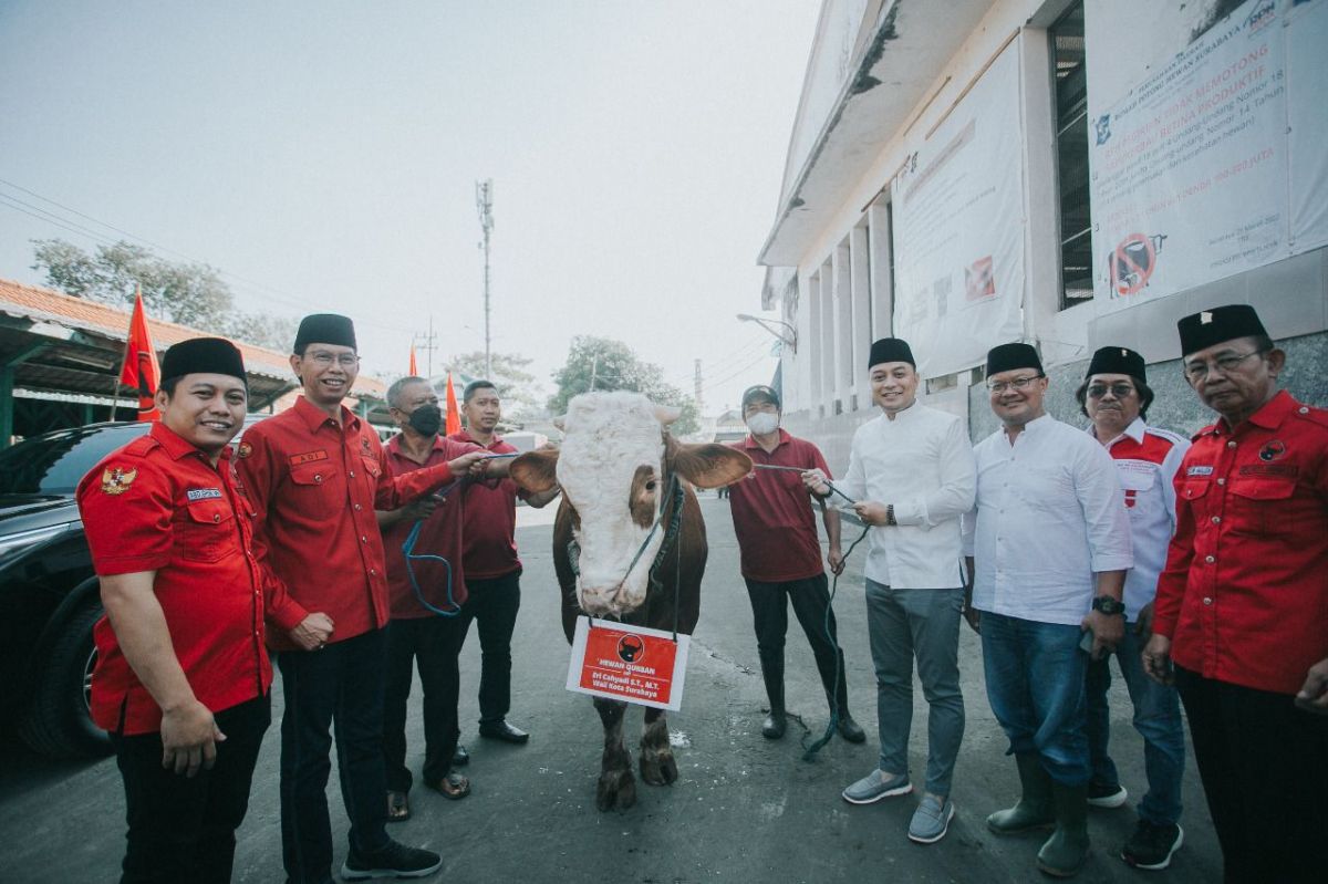 PDIP Surabaya momotong 11 ekor sapi kurban di momen Hari Raya Idul Adha 2022
