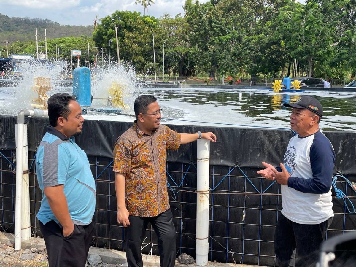 Anwar Sadad saat mengajak milenial melihat Milenial Shrimp Farm (MSF) di Situbondo (Foto: Fad for jatimnow.com)