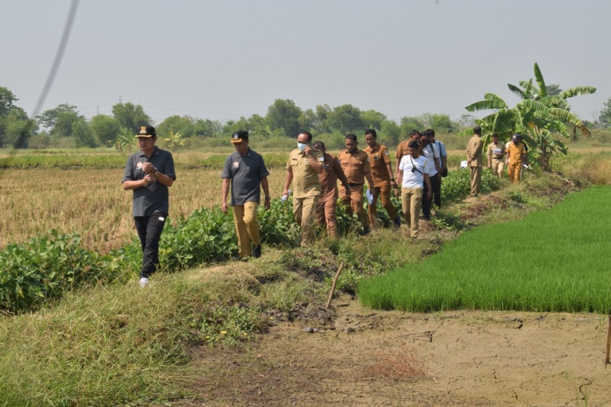 Bupati Yuhronur Efendi meninjau proyeksi awal pembangunan training ground di Lapangan Gajah Mada Lamongan