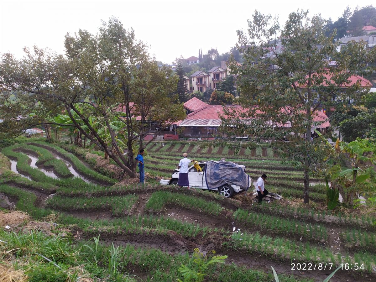 Mobil yang terperosok ke area persawahan.
