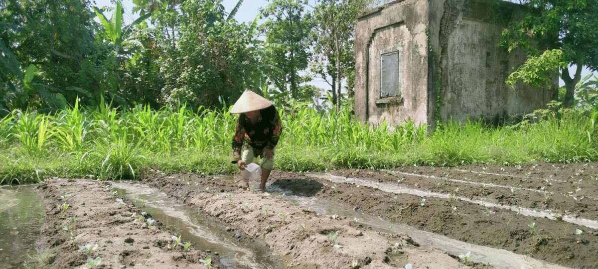 Sisa-sisa bangunan stasiun peninggalan kolonial Belanda di Desa Pucangro, Kecamatan Gudo Jombang.(Foto: Elok Aprianto)