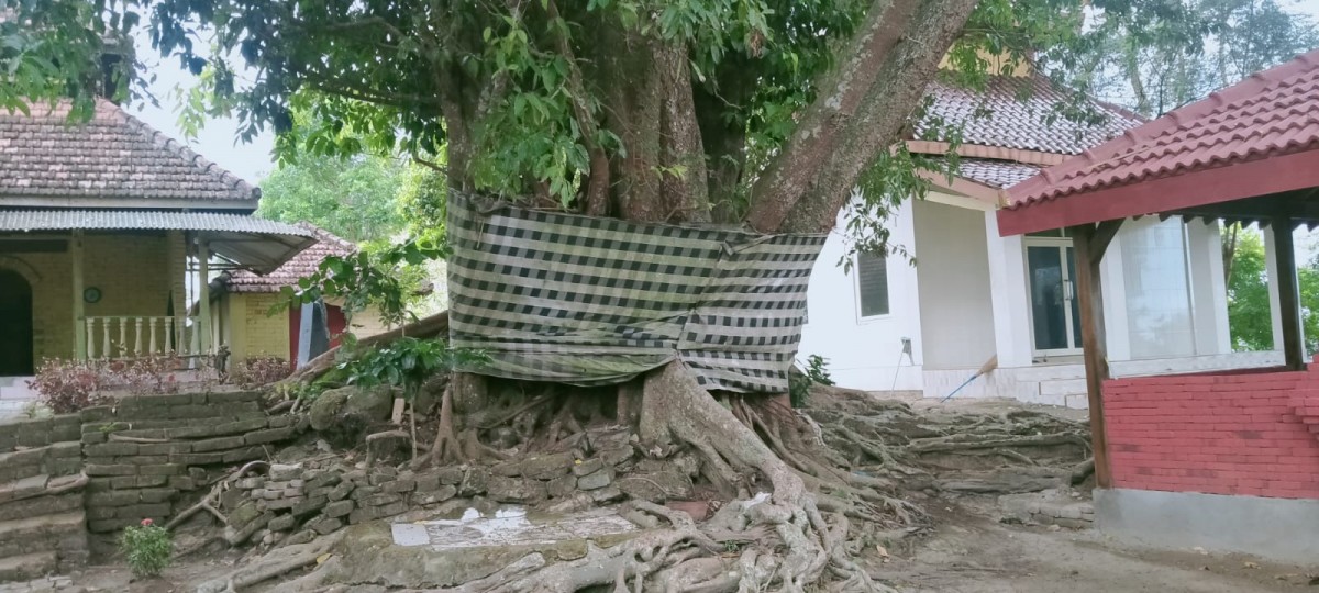Makam Dewi kili suci di Gunung Pucangan, Ngusikan, Jombang.(Foto: Elok Aprianto)