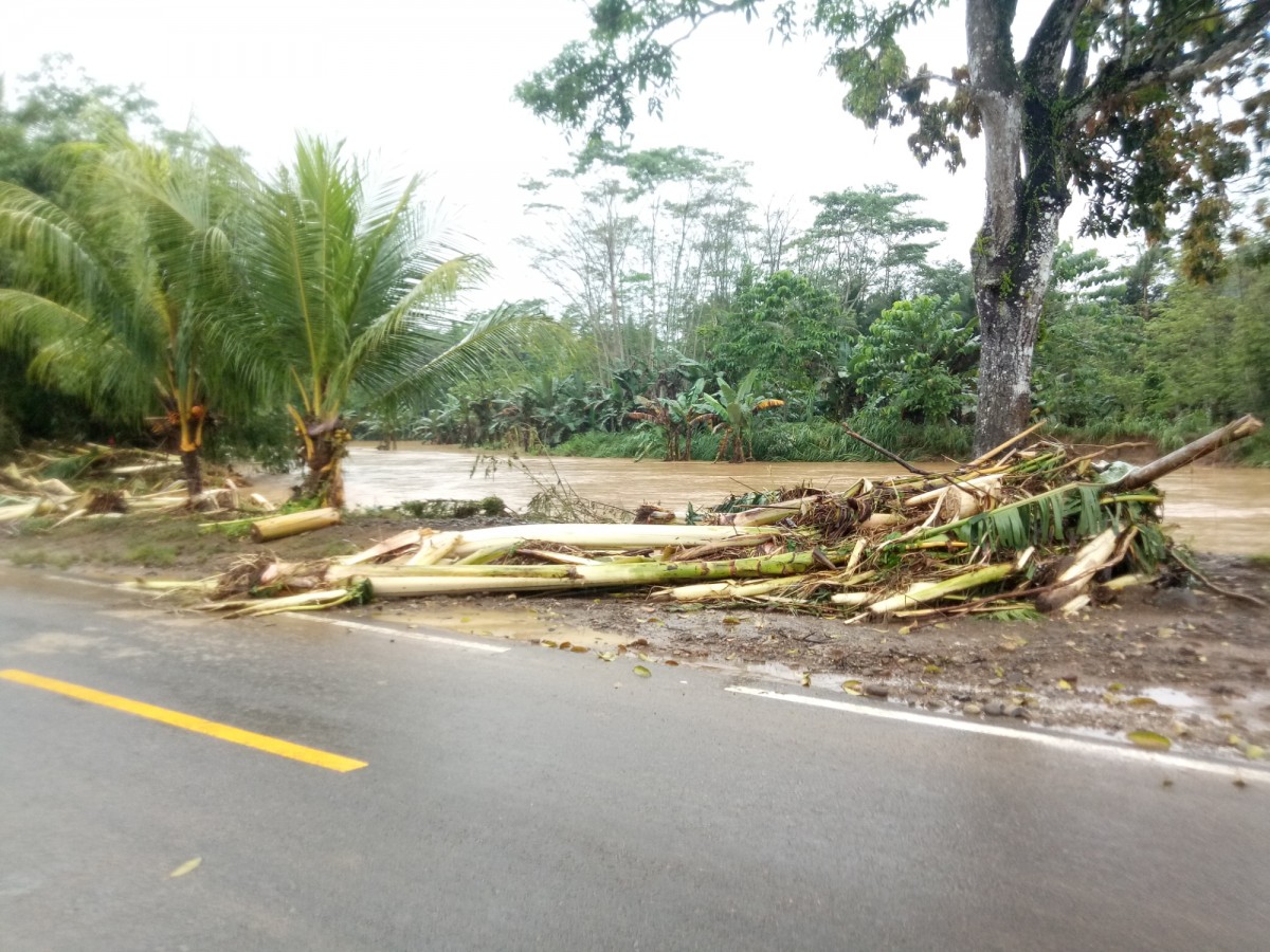 Banjir di Desa Sitiarjo Kecamatan Sumbermanjing, Kabupaten Malang surut