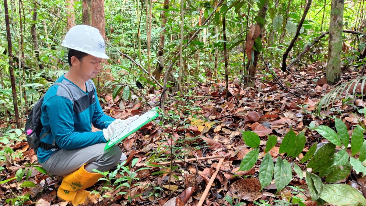 Trimanto, salah satu peneliti muda Kantor BRIN Purwodadi, Pasuruan
