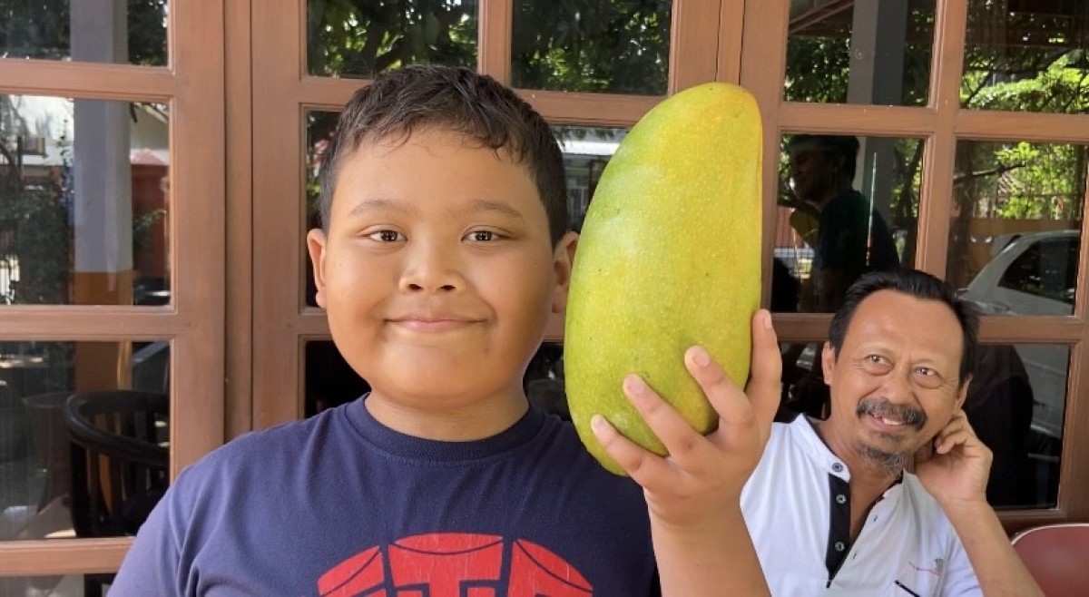 Mangga Kiojay.(Foto: Mita Kusuma)
