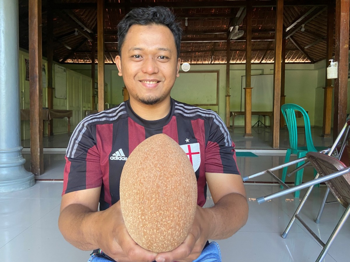 Sawo jumbo.(Foto: Mita Kusuma)