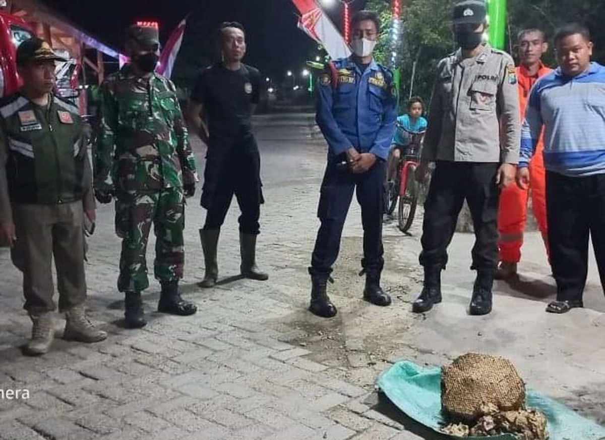 Petugas DPKP Bojonegoro saat mengevakuasi sarang tawon
