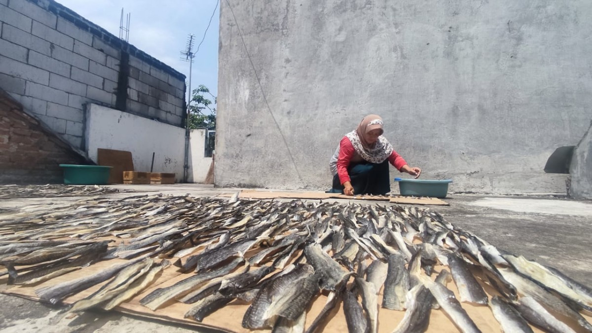 Mujirahayu saat menjemur kulit patin yang akan dijadikan kerupuk