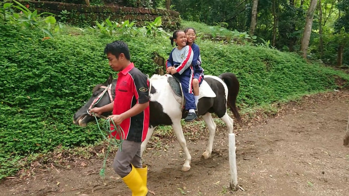 Naik kuda menjadi salah satu wahana lain yang ada di KSD, Tulungagung. (foto: Bramanta Pamungkas/jatimnow.com)