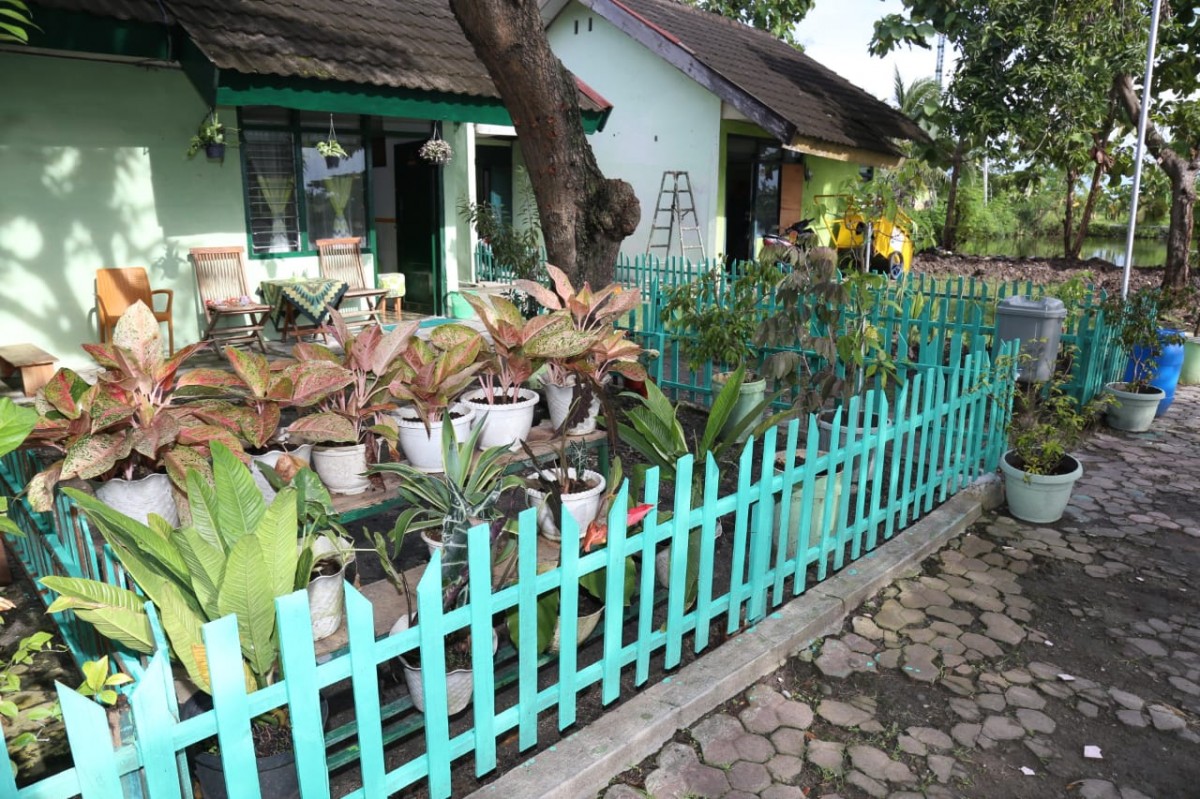 Rumah dinas Serda Purwono yang tampak asri dan bersih dengan berbagai tanaman. (Foto: Kodim Lamongan for jatimnow.com)