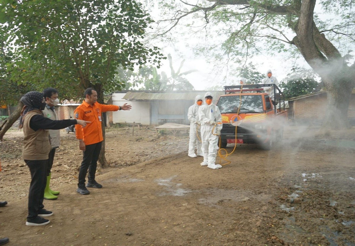 Kalaksa BPBD Jatim Gatot Soebroto meminta perbatasan sebagai filter penyebaran PMK. (foto: BPBD Jatim for jatimnow.com)