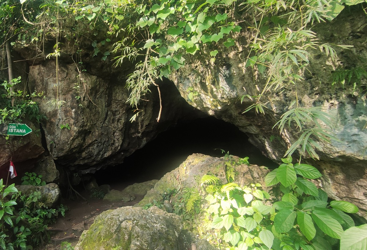 Pihak pengelola TN Alas Purwo melarang semua pengunjung melakukan ritual malam di dalam Gua Istana. (foto: Eko Purwanto/jatimnow.com)