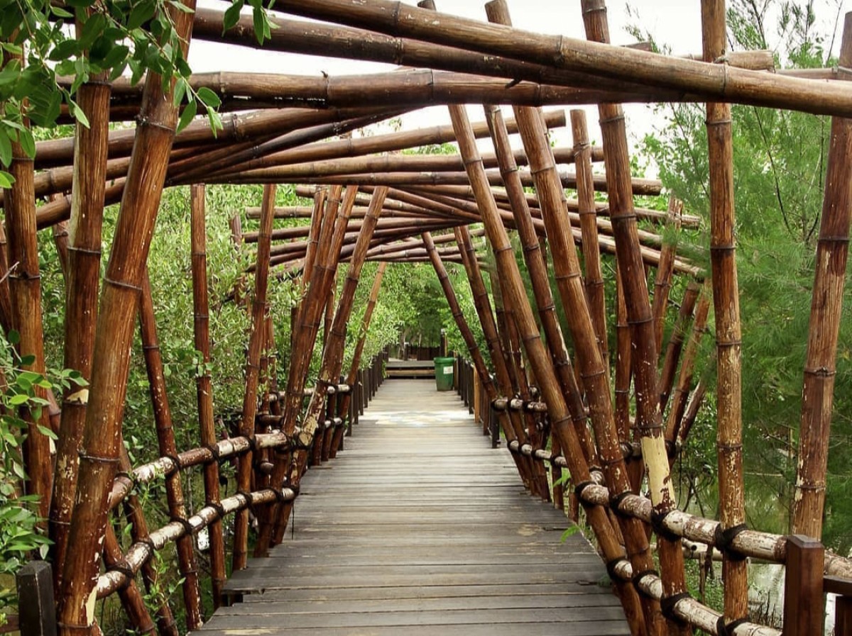 Mangrove Gunung Anyar (Foto: IG @surabayaterkini)