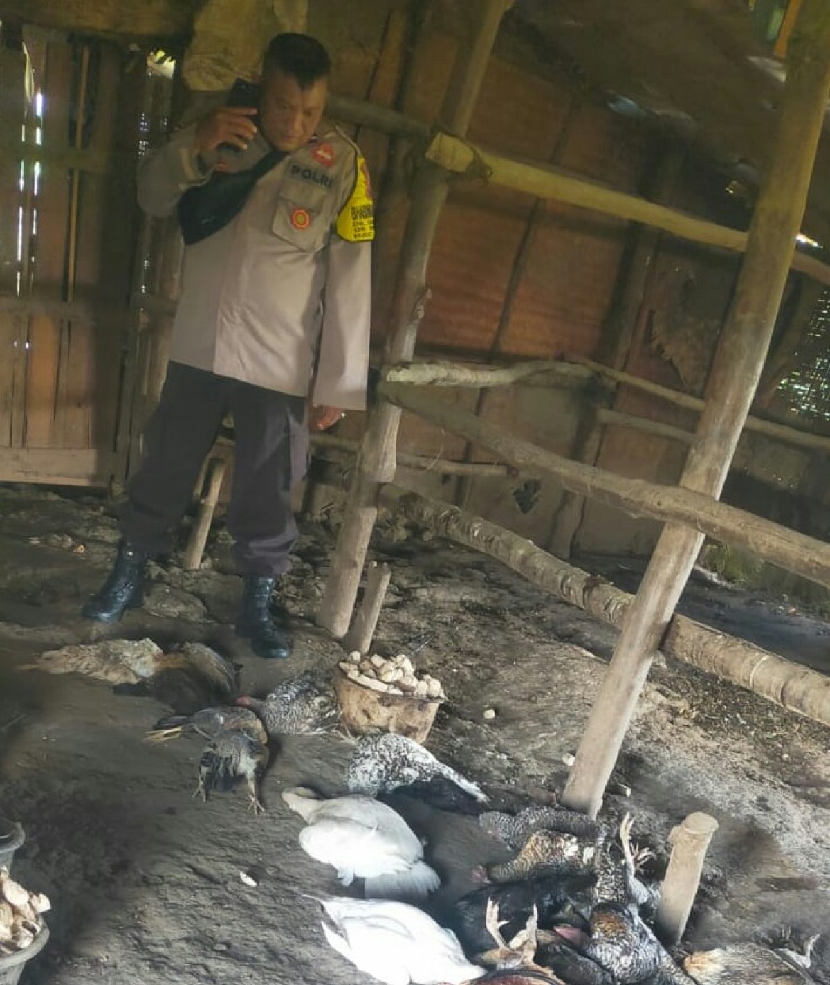 Petugas dari Polsek Jati saat meninjau ternak warga yang mati. (Foto: Polsek Jati for jatimnow.com)