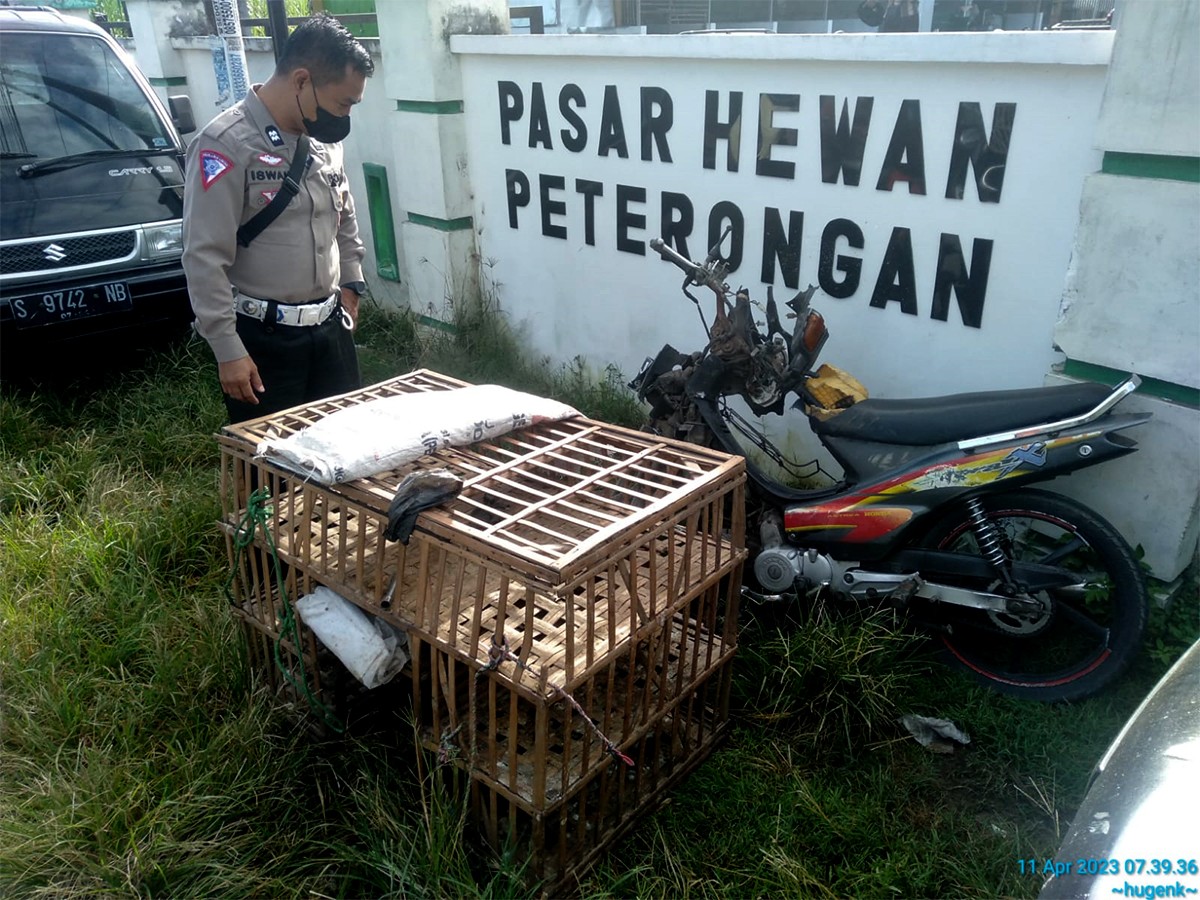 kondisi motor milik penjual ayam yang ringsek. (foto: Elok Aprianto/jatimnow.com)