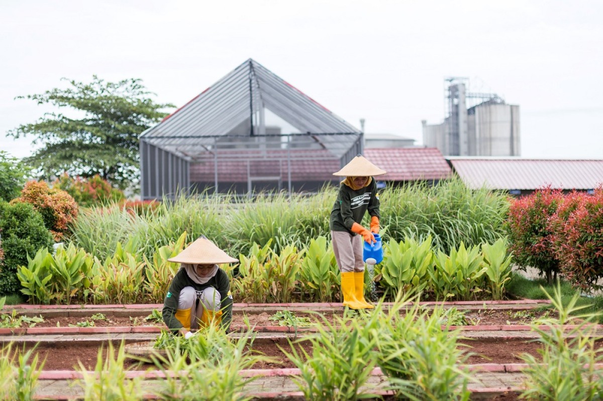 Para petani yang berasal dari masyarakat desa sekitar PT Semen Gresik Pabrik Rembang, Jawa Tengah, sedang melakukan pembibitan tanaman di kawasan Edupark yang berlokasi di Desa Kajar, Kecamatan Gunem, Kabupaten Rembang, Jawa Tengah.