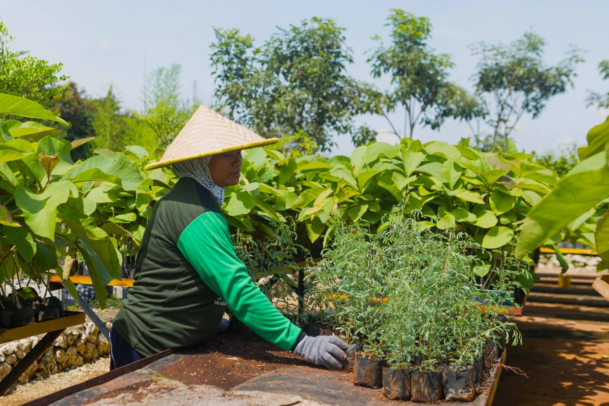  Petani green belt melakukan pembibitan di area green house eco park kembang semi, untuk reklamasi lahan pascatambang SIG di Pabrik Tuban, Jawa Timur.