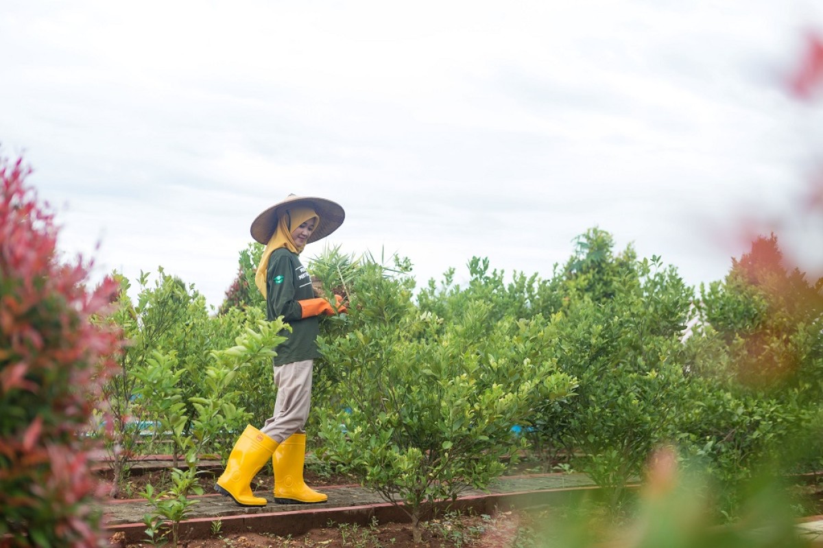Edupark PT Semen Gresik Pabrik Rembang dibangun di atas lahan seluas 1,6 Hektare di Desa Kajar, Kecamatan Gunem, Kabupaten Rembang, Jawa Tengah, sebagai upaya pemberdayaan bidang pertanian dan peternakan terpadu bagi masyarakat.