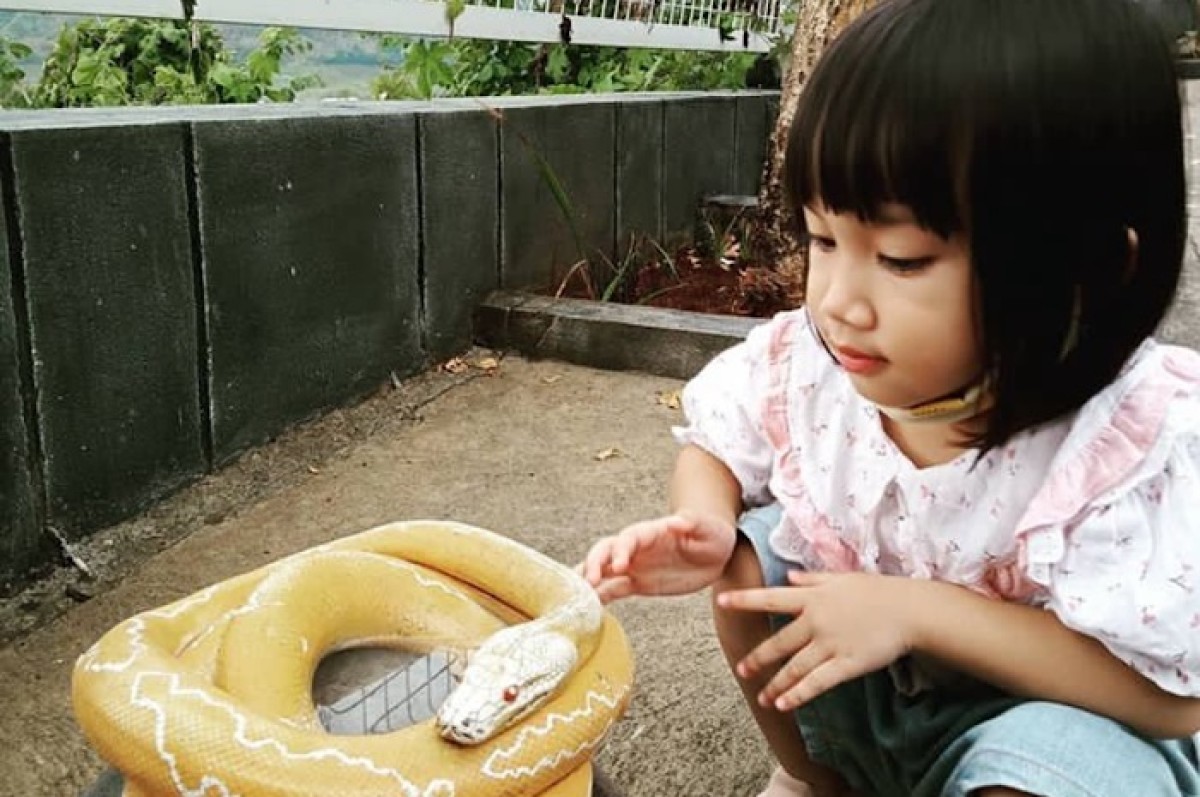 Pari Mini Zoo. (Instagram @pari_pagungagrowisatakediri)