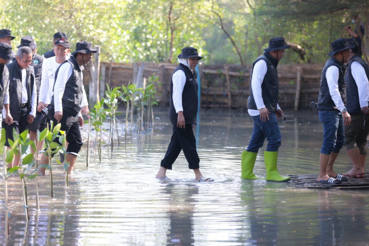 Khofifah di Ekowisata Mangrove Gunung Anyar. (Foto: Humas Pemprov Jatim)