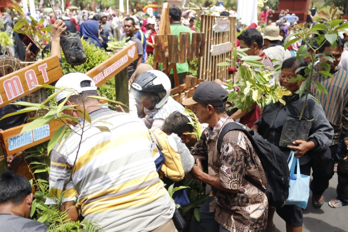 Warga Berebut bibit tanaman yang dibagikan
