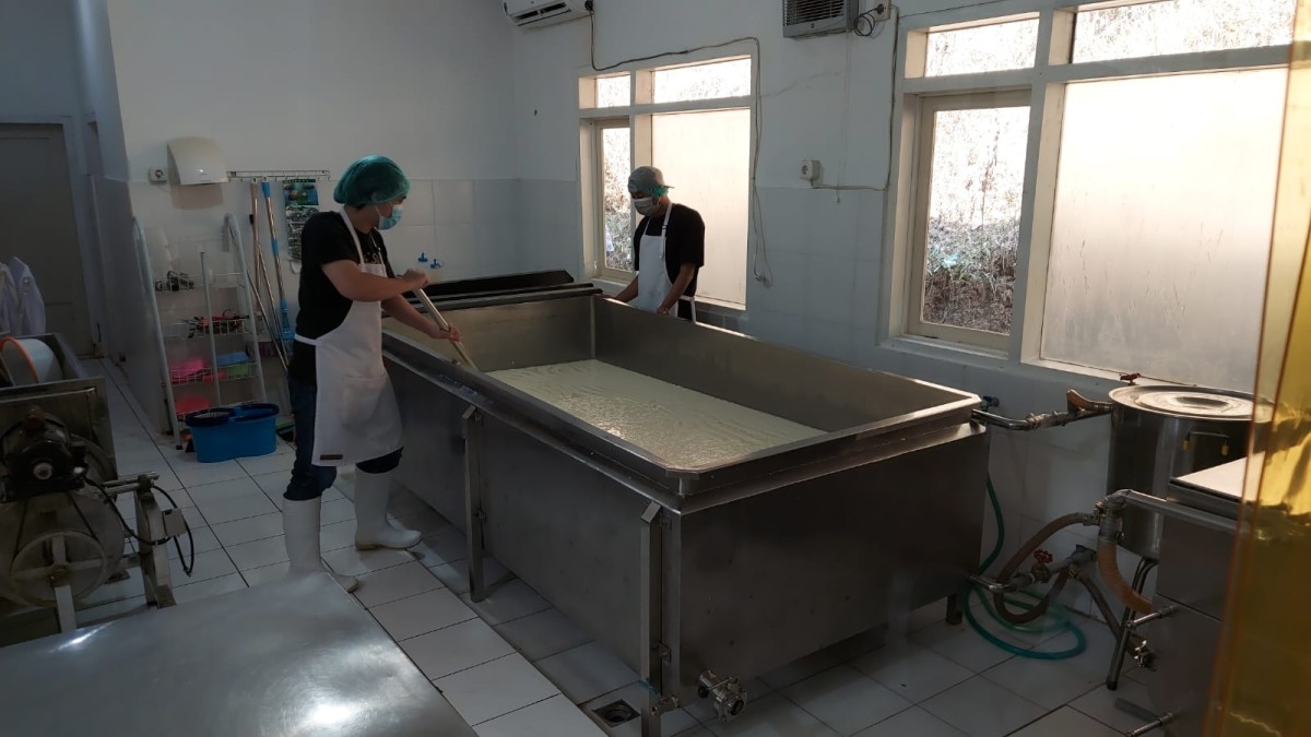 Proses pembuatan keju Chizzu. (Foto: Ni'am Kurniawan/jatimnow.com)