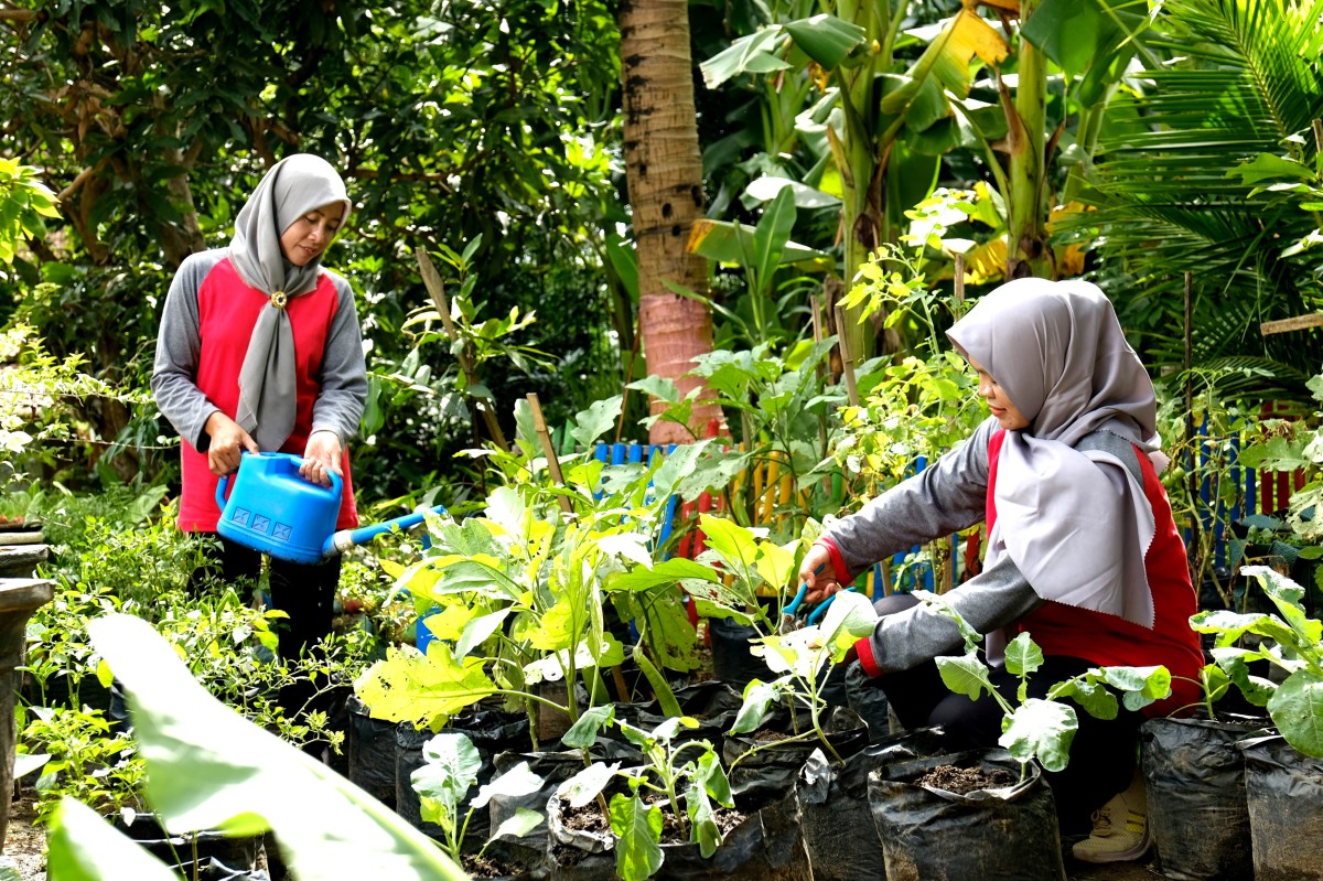 Para ibu rumah tangga yang tergabung dalam program Bumi Kartini di Desa Ngampel, Kabupaten Blora, Jawa Tengah, memanfaatkan pekarangan rumah sebagai lahan bercocok tanam sayuran.