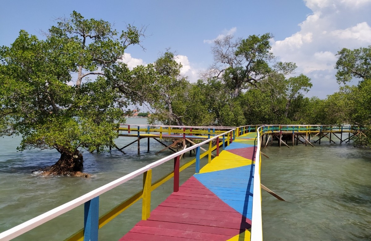 Mangrove Labuhan. (Foto: Nining for jatimnow.com) 
