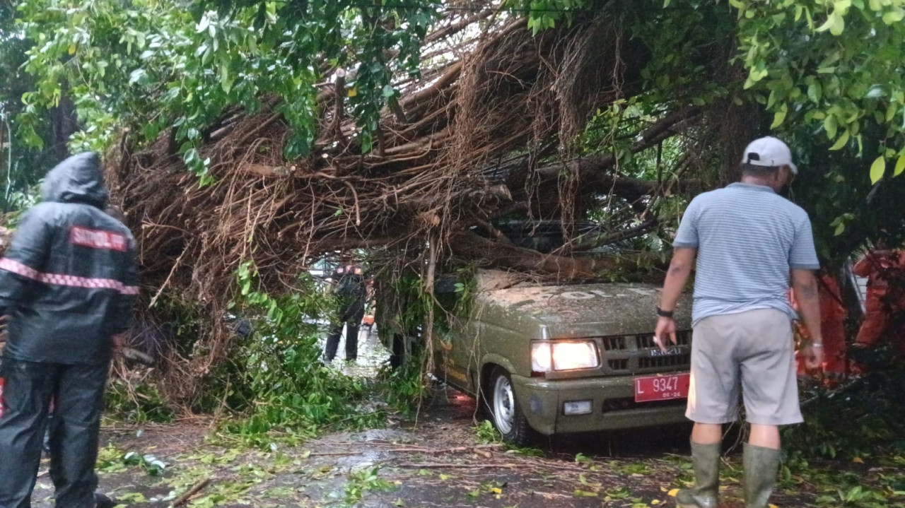 Pohon raksasa timpa mobil Satpol PP di Jalan Bintoro Surabaya (foto: Riski for jatimnow.com)