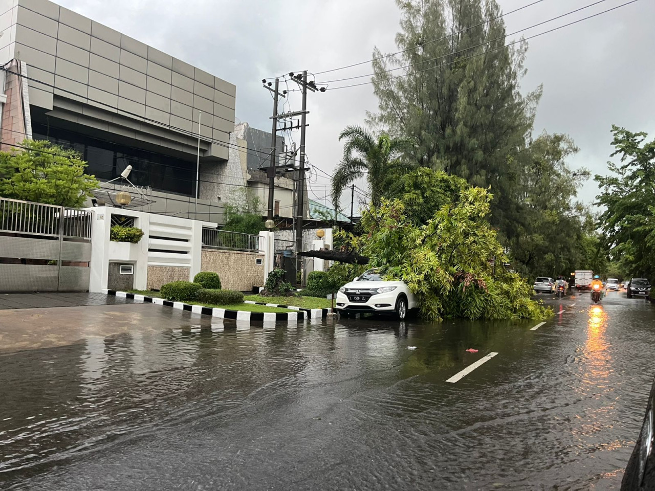 Pohon tumbang timpa mobil di Jalan Arjuno, Surabaya (foto: Riski for jatimnow.com)