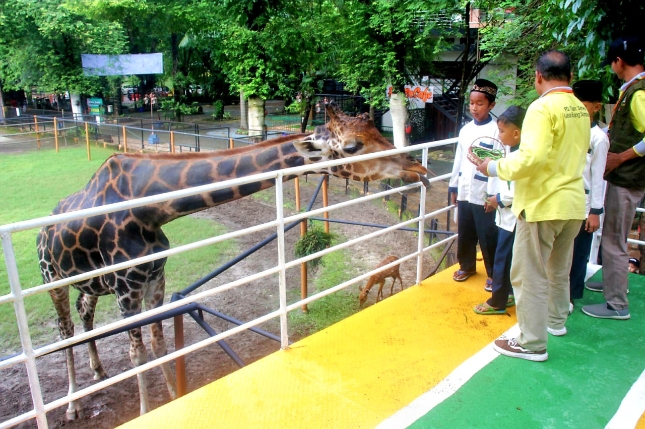 Anak Yatim Surabaya belajar mengenal hewan di KBS (foto: Ridoi for jatimnow.com)