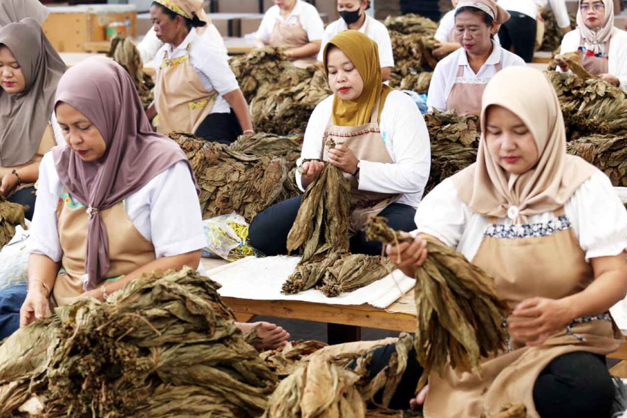 Foto: Perempuan Penjaga Tembakau