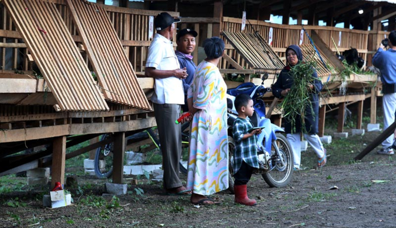 Selain menjadi sentra produksi ternak, kandang komunal juga difungsikan sebagai pusat pembelajaran dan pemberdayaan. Foto: Ali Masduki/jatimnow.com