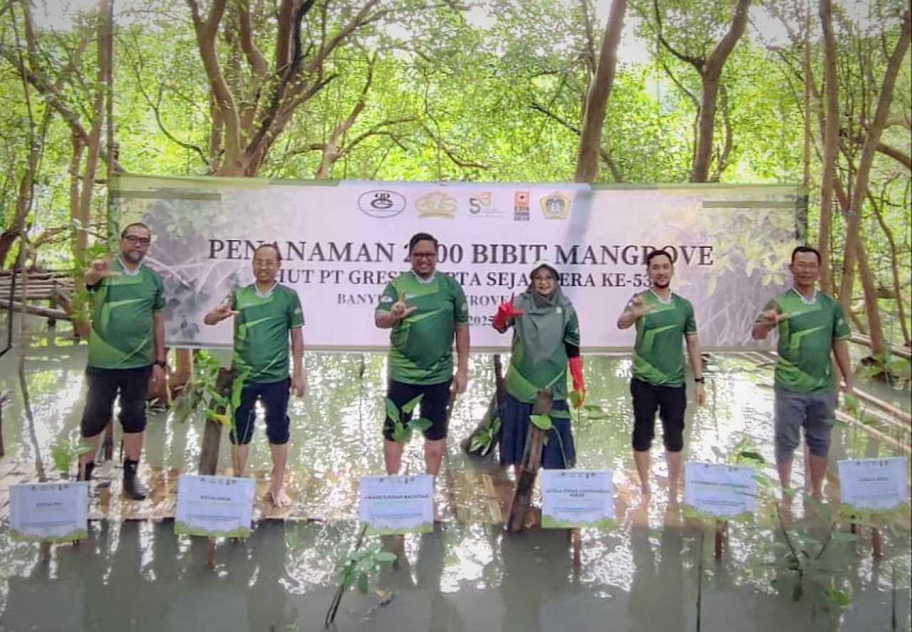 Gresik Cipta Sejahtera Tanam Ribuan Bibit Mangrove di Kawasan BMC Ujungpangkah