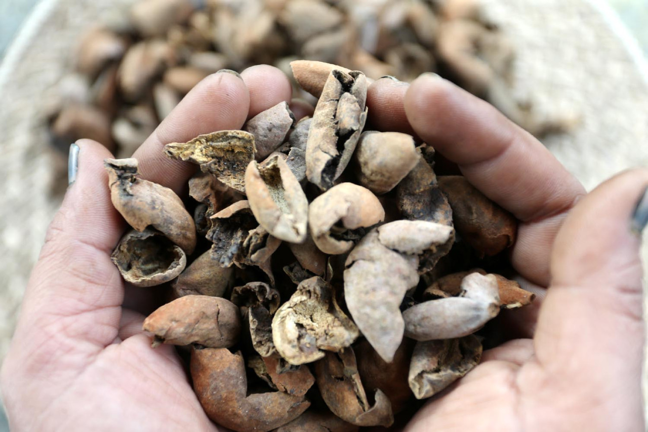 Pekerja menyiapkan bahan pewarnaa alami untuk batik, di Workshop Ulur Wiji, di Desa Pandankrajan, Kabupaten Mojokerto, Jawa Timur. (Foto: Ali Masduki/JatimNow.com)