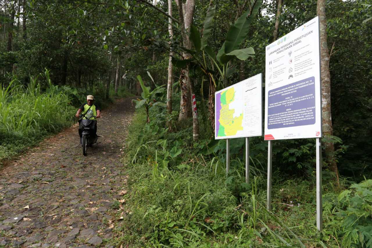 Papan sosialiasasi dan peta hutan anggota Lembaga Pengelola Hutan Desa (LPHD) Arjuna Lestari terpajang di pintu masuk perkebunan kopi Arabika di Lereng Gunung Arjuna, Dusun Tegal Kidul, Desa Jatiarjo, Kecamatan Prigen, Kabupaten Pasuruan, Jawa Timur, Senin (04/8/2025). Foto: Ali Masduki/JatimNow.com