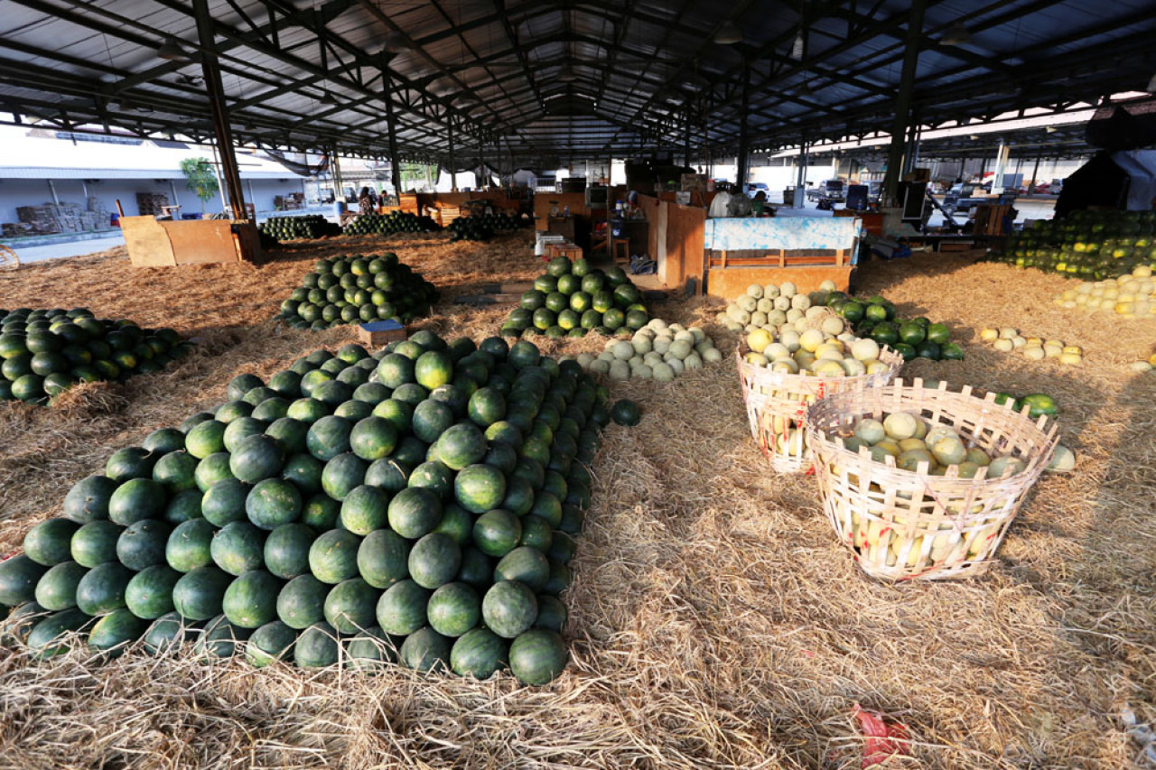 Buah-buahan ditempatkan pada lokasi yang bersih dan tidak berhimpitan, sehingga ada jaminan buah terjaga kesegarannya.