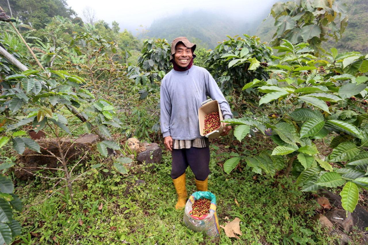 Asmari, buruh petik kopi berpose disela-sela memetik kopi Arabika di Lereng Gunung Arjuna, Dusun Tegal Kidul, Desa Jatiarjo, Kecamatan Prigen, Kabupaten Pasuruan, Jawa Timur, Senin (04/8/2025). Foto: Ali Masduki/JatimNow.com