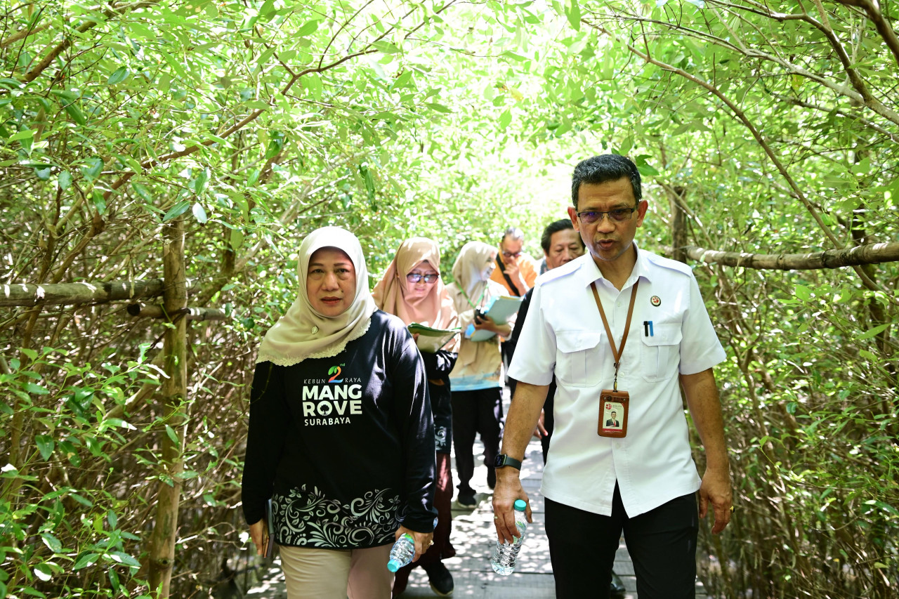 Pengembangan mangrove Surabaya dakui BRIN