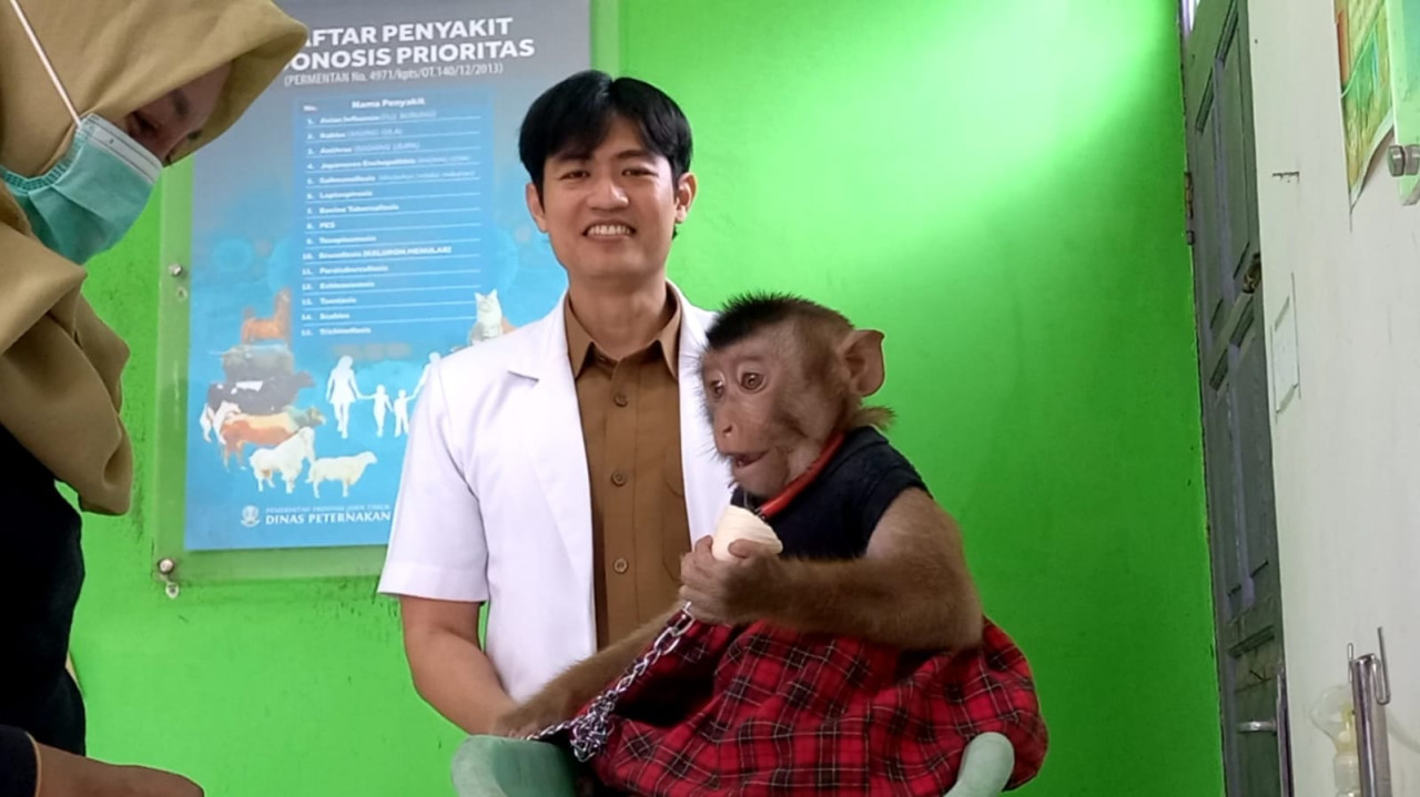 Peringatan World Rabies Day 2025, Monyet Hingga Kucing di Trenggalek Ikut Vaksin
