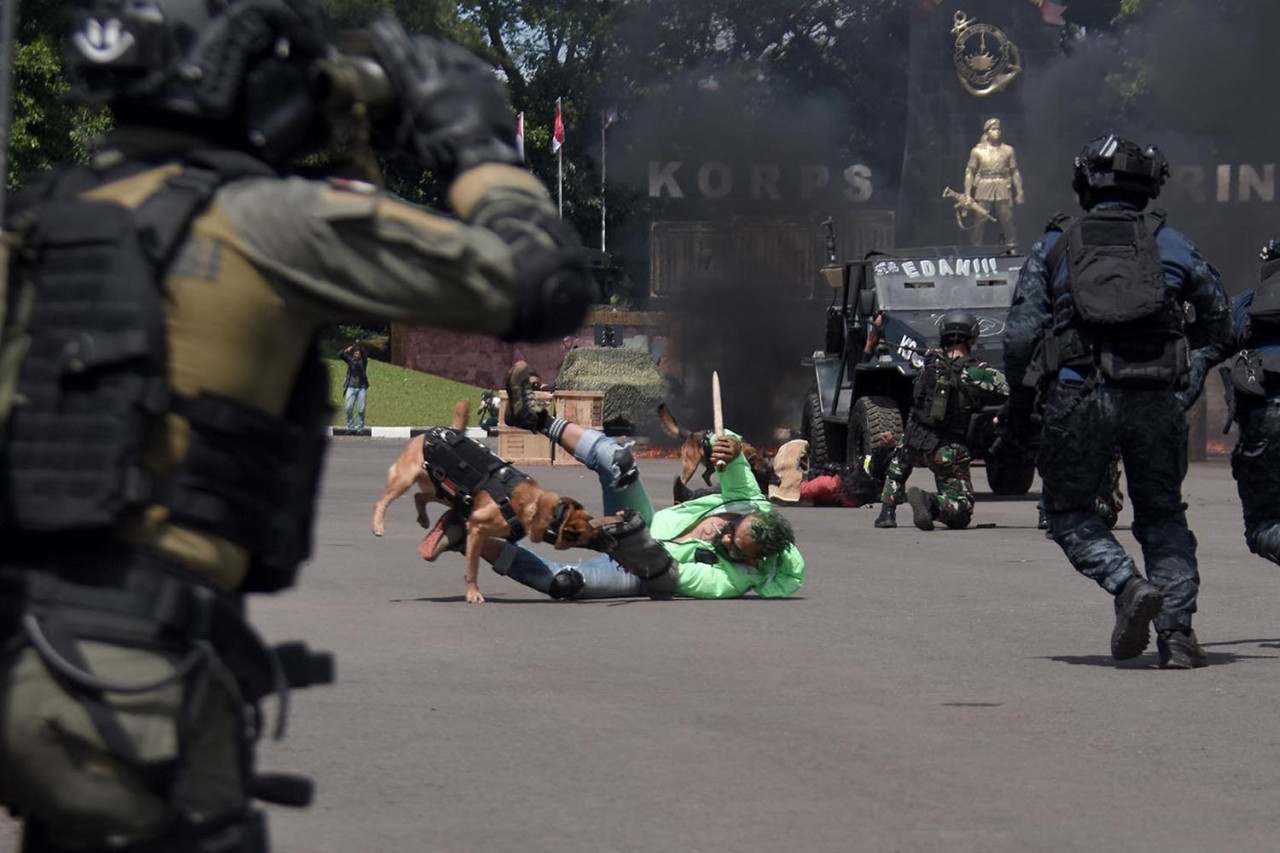 Tim K-9 Korps Marinir melumpuhkan musuh dalam demonstrasi kemampuan pada Upacara Peringatan HUT ke-80 Korps Marinir di Jakarta, Senin (17/11/2025). Aksi ini menunjukkan kesiapan Korps Marinir dalam menghadapi berbagai ancaman, termasuk terorisme. (Foto: Ainul Yakin for JatimNow.com)