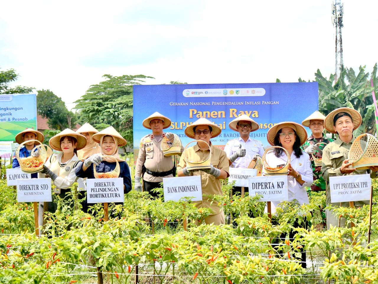 Panen Raya Gerakan Nasional Pengendalian Inflasi Pangan (GNPIP) SLPHT Cabai Off Season di Kabupaten Kediri. (Foto: BI Kediri/jatimnow.com)