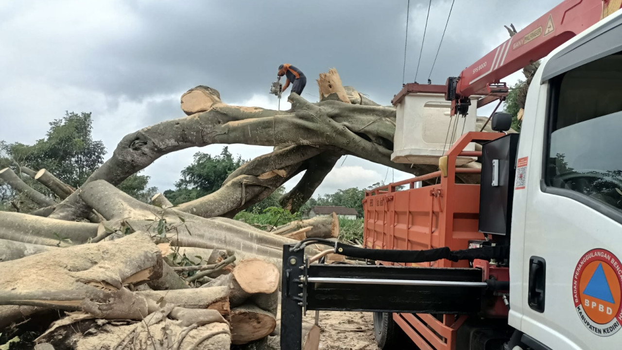BPBD Kabupaten Kediri melakukan pemotongan pohon tumbang. (Foto: Pemkab Kediri/jatimnow.com)