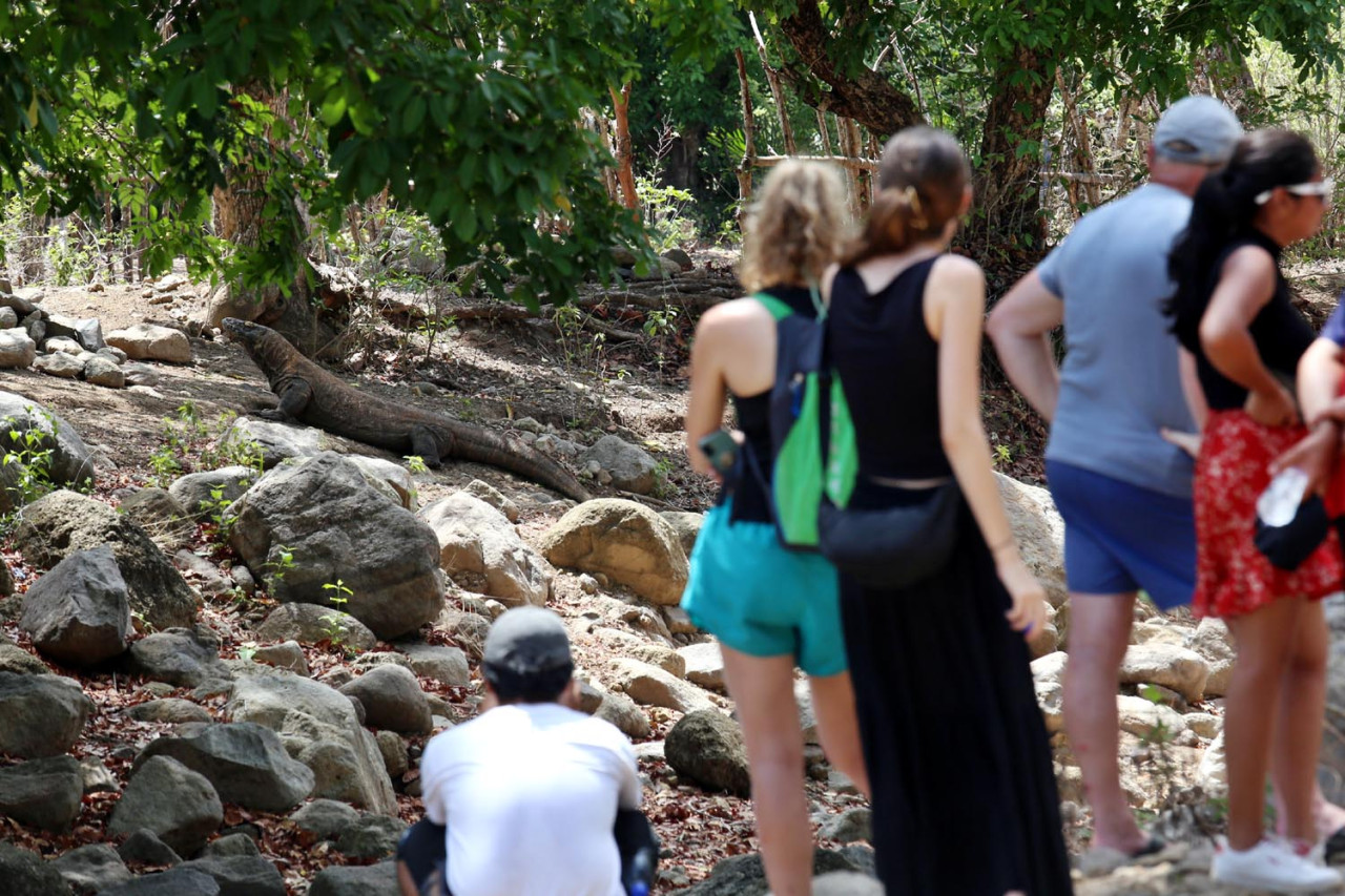 Rombongan wisatawan berdiri berjejer melihat kagum saat komodo berjalan di tanah bebatuan. Pemandu wisata mengingatkan agar tidak memancing dengan gerakan dan harus menjaga jarak. (Foto: Ali Masduki/JatimNow.com)