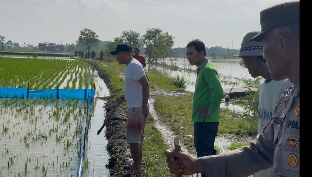 Foto: Warga dan polisi gotong royong lakukan gopyokan untuk usir tikus tanpa alat listrik. (Humas Polres Lamongan/jatimnow.com)