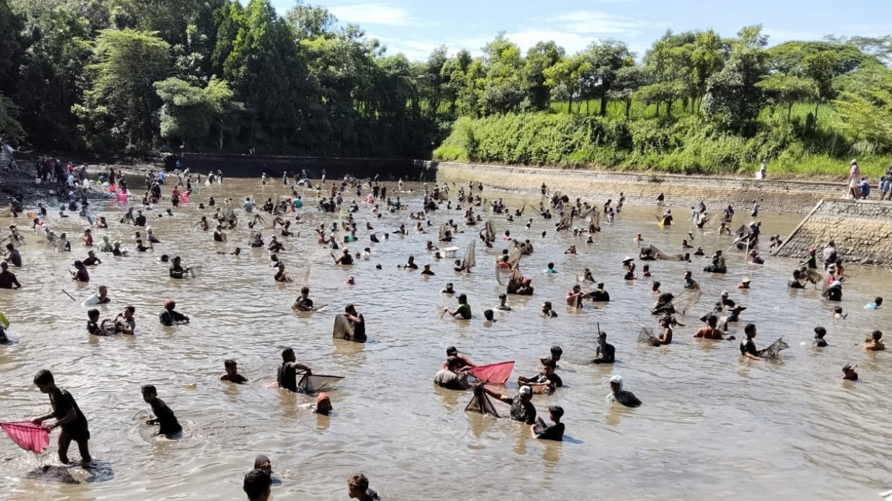 Ribuan Orang Serbu Gropyok Ikan Sumber Jembangan Kediri, Seru Banget!