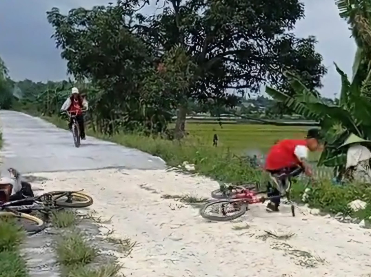 Foto: Capture video satir yang dibuat siswa SD di Lamongan. (RAWRRZZ/jatimnow.com)